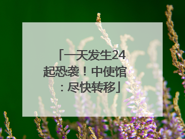 一天发生24起恐袭！中使馆：尽快转移