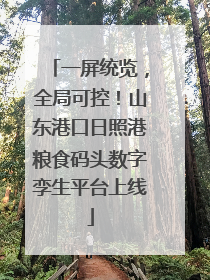 一屏统览，全局可控！山东港口日照港粮食码头数字孪生平台上线