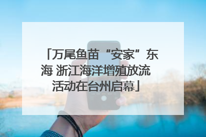 万尾鱼苗“安家”东海 浙江海洋增殖放流活动在台州启幕