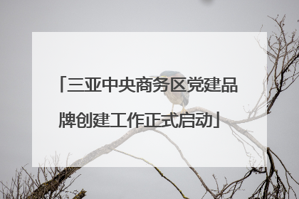 三亚中央商务区党建品牌创建工作正式启动