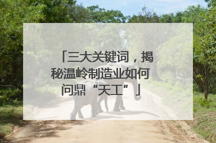 三大关键词，揭秘温岭制造业如何问鼎“天工”