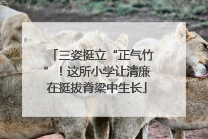 三姿挺立“正气竹”！这所小学让清廉在挺拔脊梁中生长