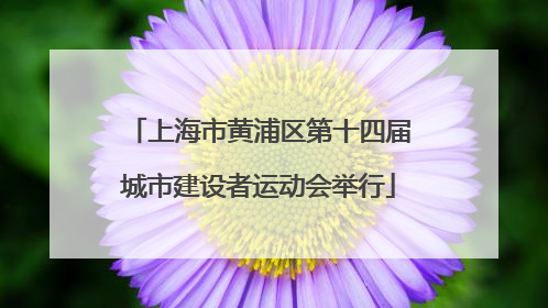 上海市黄浦区第十四届城市建设者运动会举行