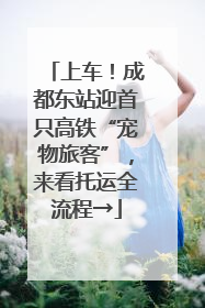 上车！成都东站迎首只高铁“宠物旅客”，来看托运全流程→