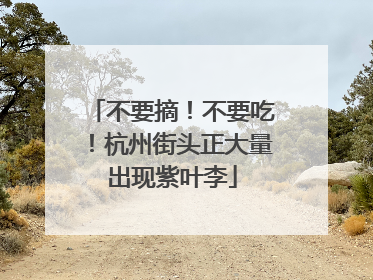 不要摘！不要吃！杭州街头正大量出现紫叶李