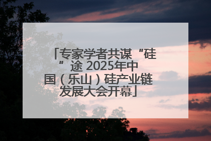 专家学者共谋“硅”途 2025年中国（乐山）硅产业链发展大会开幕