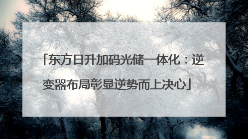 东方日升加码光储一体化：逆变器布局彰显逆势而上决心