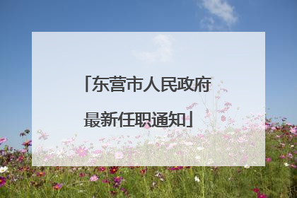 东营市人民政府最新任职通知