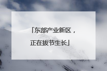 东部产业新区，正在拔节生长