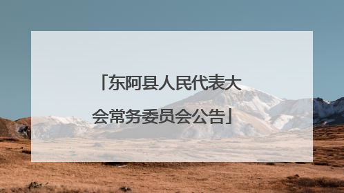东阿县人民代表大会常务委员会公告