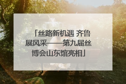 丝路新机遇 齐鲁展风采——第九届丝博会山东馆亮相