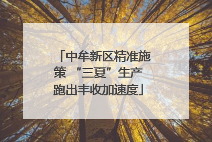 中牟新区精准施策 “三夏”生产跑出丰收加速度