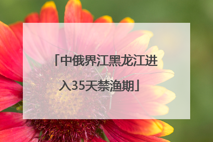 中俄界江黑龙江进入35天禁渔期