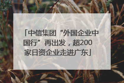 中信集团“外国企业中国行”再出发，超200家日资企业走进广东