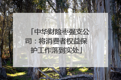 中华财险枣强支公司：将消费者权益保护工作落到实处