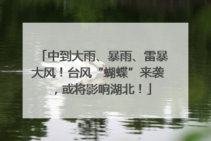 中到大雨、暴雨、雷暴大风！台风“蝴蝶”来袭，或将影响湖北！