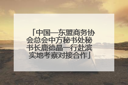 中国—东盟商务协会总会中方秘书处秘书长鹿德晶一行赴滨实地考察对接合作