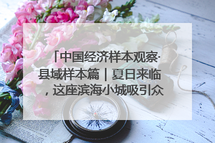 中国经济样本观察·县域样本篇｜夏日来临，这座滨海小城吸引众多年轻人打卡……