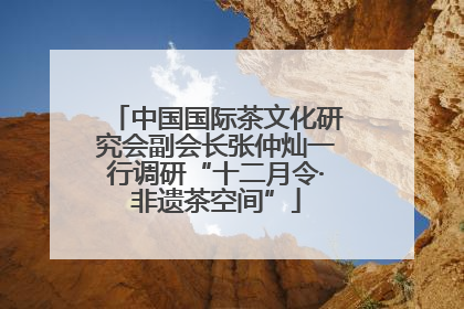 中国国际茶文化研究会副会长张仲灿一行调研“十二月令·非遗茶空间”