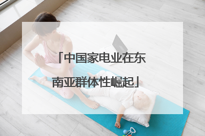 中国家电业在东南亚群体性崛起