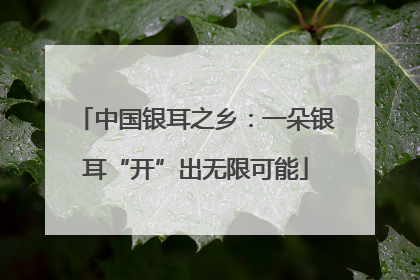 中国银耳之乡：一朵银耳“开”出无限可能