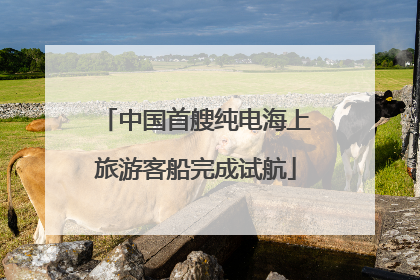 中国首艘纯电海上旅游客船完成试航
