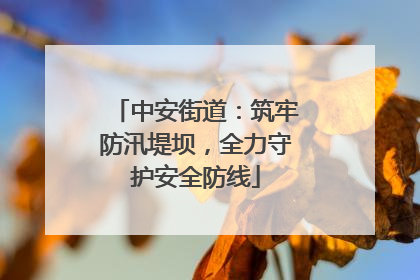 中安街道：筑牢防汛堤坝，全力守护安全防线