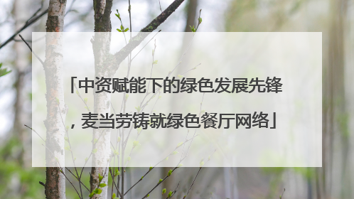 中资赋能下的绿色发展先锋，麦当劳铸就绿色餐厅网络