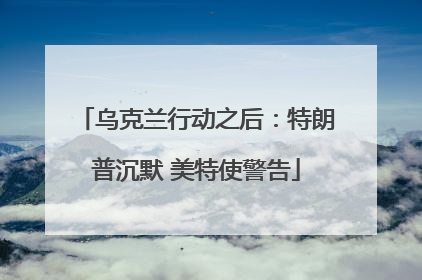 乌克兰行动之后：特朗普沉默 美特使警告