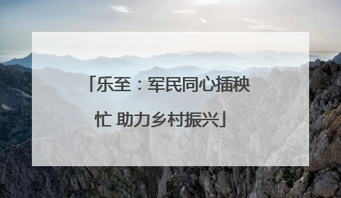 乐至：军民同心插秧忙 助力乡村振兴