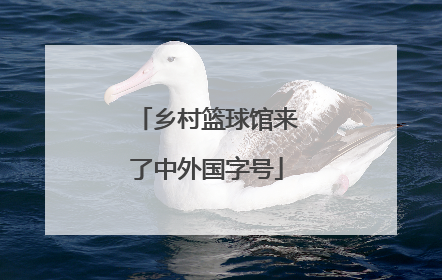 乡村篮球馆来了中外国字号