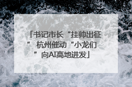 书记市长“挂帅出征” 杭州催动“小龙们”向AI高地进发