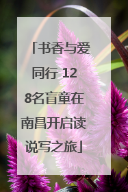 书香与爱同行 128名盲童在南昌开启读说写之旅