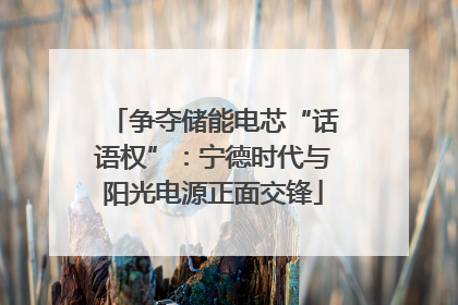 争夺储能电芯“话语权”：宁德时代与阳光电源正面交锋