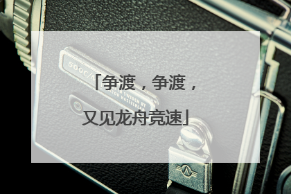 争渡，争渡，又见龙舟竞速