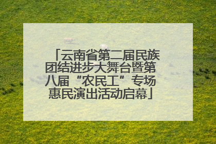 云南省第二届民族团结进步大舞台暨第八届“农民工”专场惠民演出活动启幕