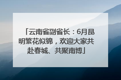 云南省副省长：6月昆明繁花似锦，欢迎大家共赴春城、共聚南博