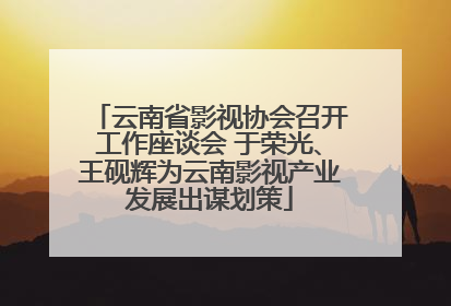 云南省影视协会召开工作座谈会 于荣光、王砚辉为云南影视产业发展出谋划策