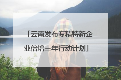 云南发布专精特新企业倍增三年行动计划