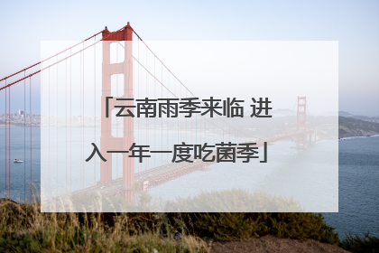 云南雨季来临 进入一年一度吃菌季