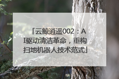 云鲸逍遥002：AI驱动清洁革命，重构扫地机器人技术范式
