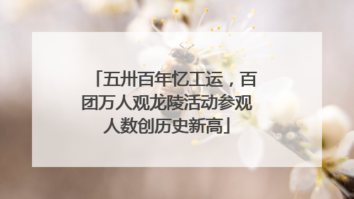 五卅百年忆工运，百团万人观龙陵活动参观人数创历史新高