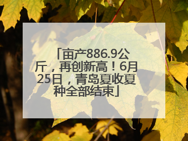 亩产886.9公斤，再创新高！6月25日，青岛夏收夏种全部结束