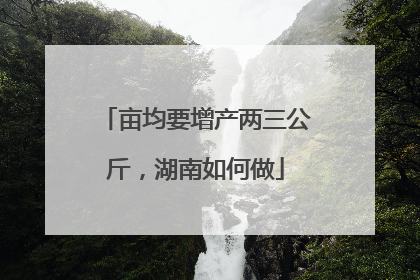 亩均要增产两三公斤，湖南如何做