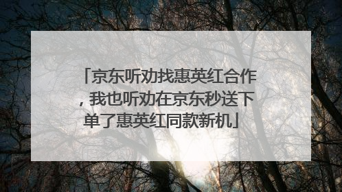 京东听劝找惠英红合作，我也听劝在京东秒送下单了惠英红同款新机