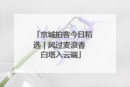 京城拍客今日精选｜风过麦浪香 白塔入云端