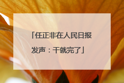 任正非在人民日报发声：干就完了