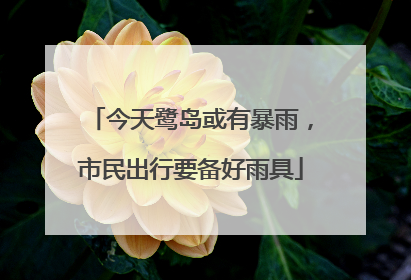 今天鹭岛或有暴雨，市民出行要备好雨具