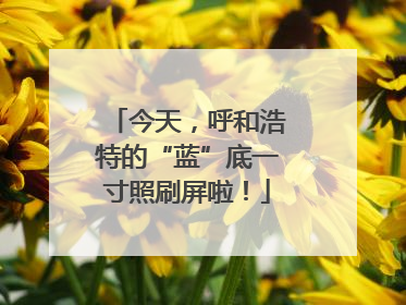 今天，呼和浩特的“蓝”底一寸照刷屏啦！