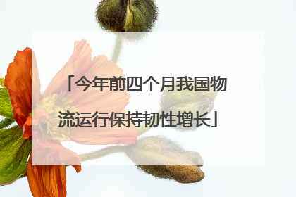 今年前四个月我国物流运行保持韧性增长